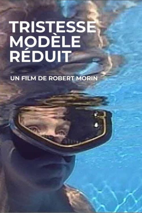 Tristesse modèle réduit