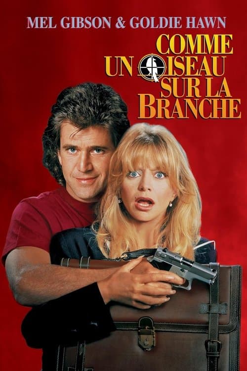 Comme un oiseau sur la branche