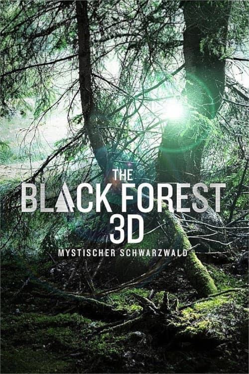 La Forêt Noir 3D