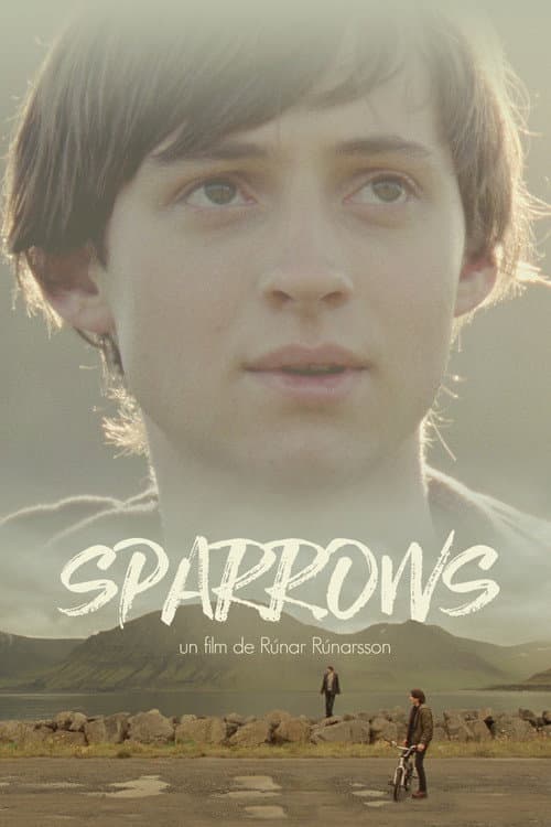 Sparrows