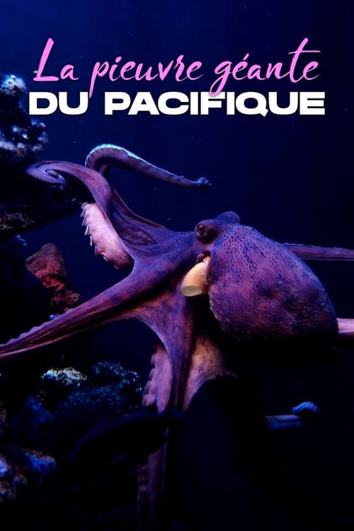 La Pieuvre géante du Pacifique